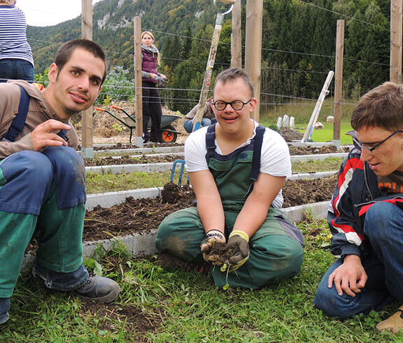 BewohnerInnen und BetreuerInnen am Mathiashof bei der Arbeit im Garten.