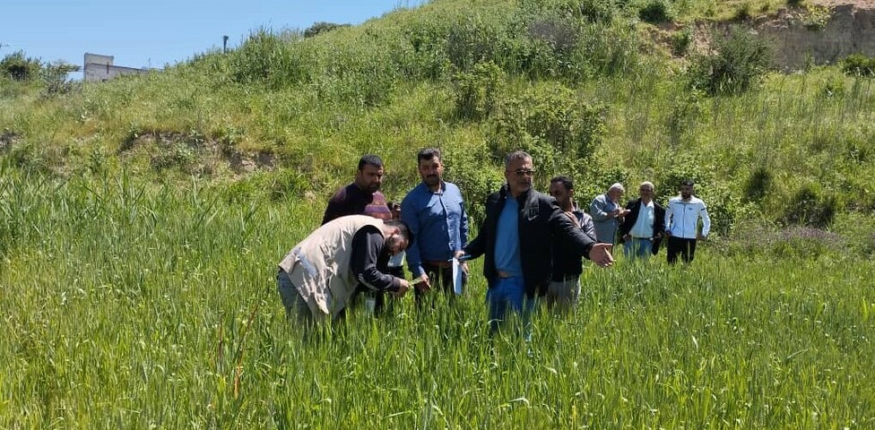 Syrische Bauern am Feld